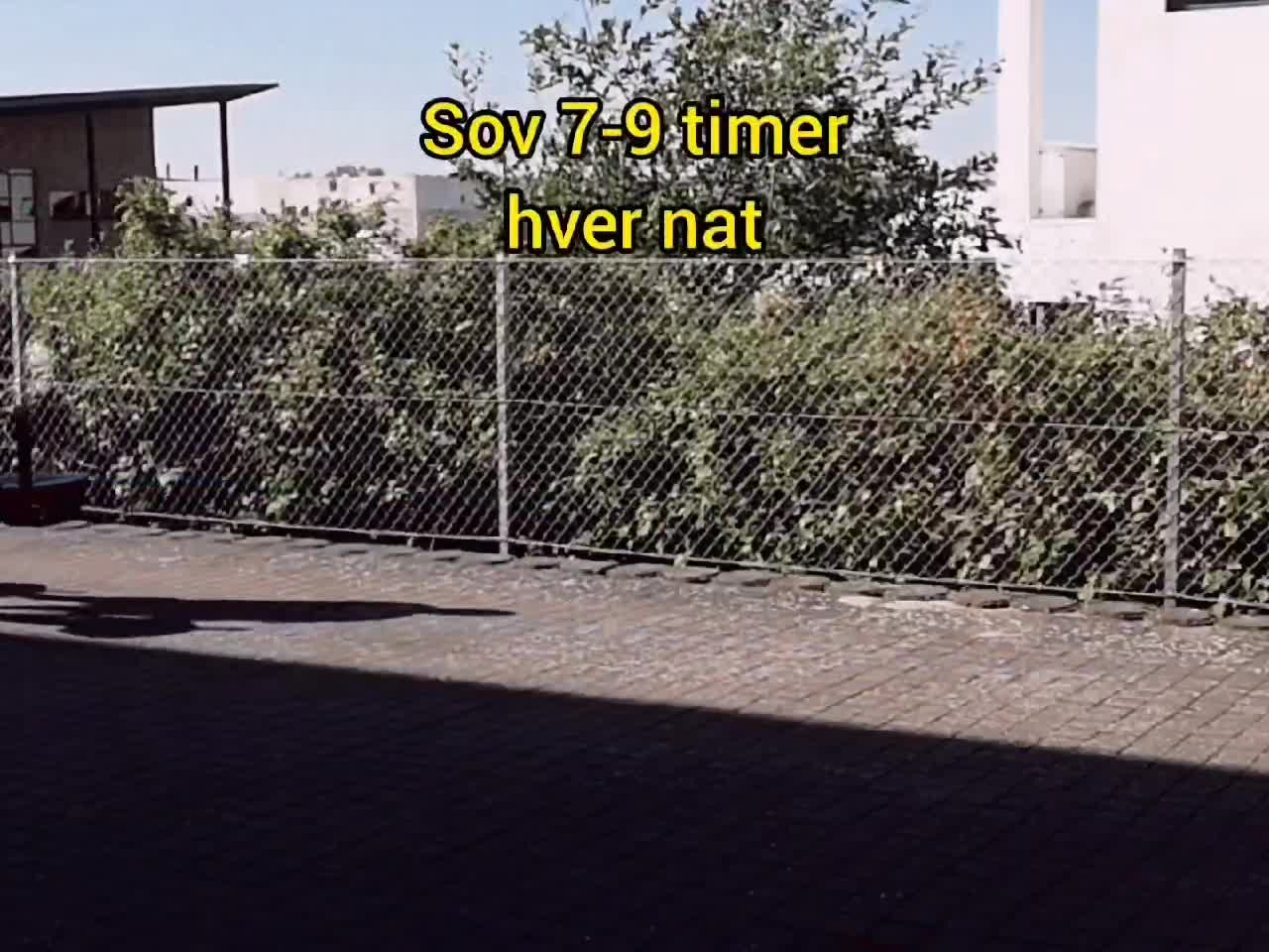 Opdatér dig her: Det nyeste fra Risskov