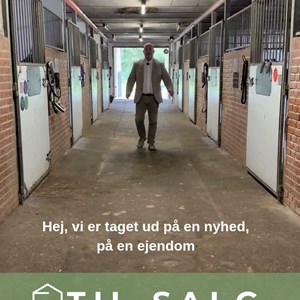 Opslagsbillede