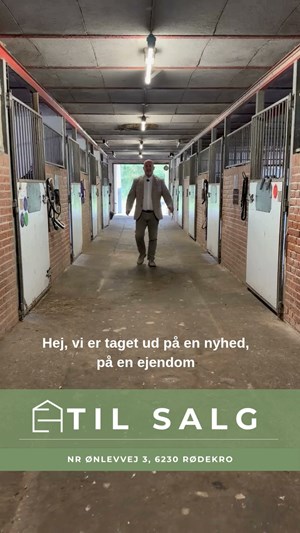 opslagsbillede