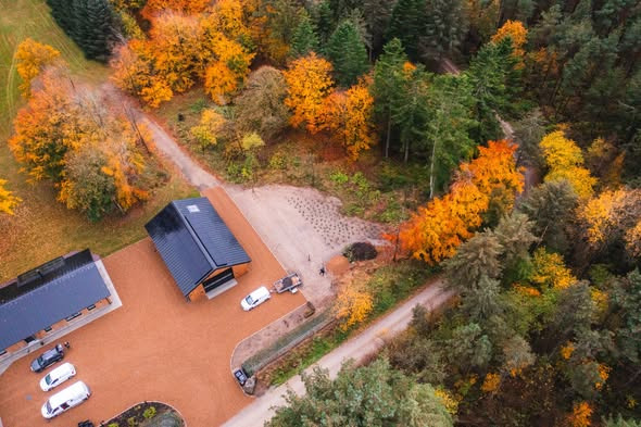 Skovbygaard A/S deler opdatering fra planteprojekt på naturejendom