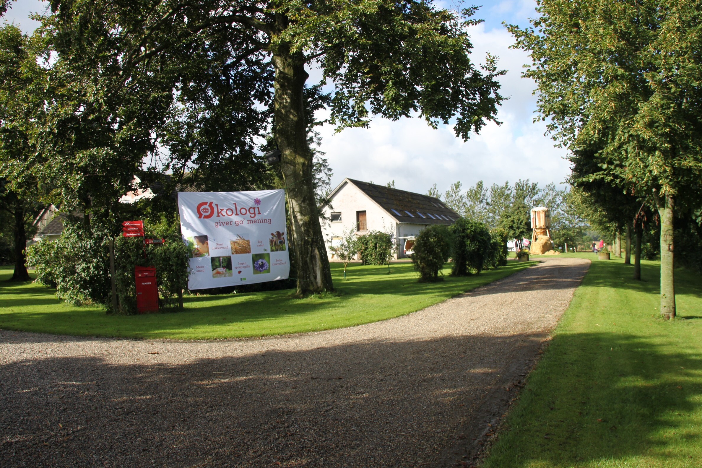 Dagens vigtigste lokale nyheder på sociale medier