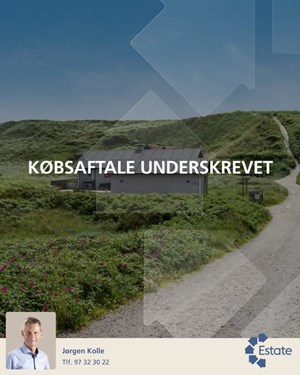 opslagsbillede