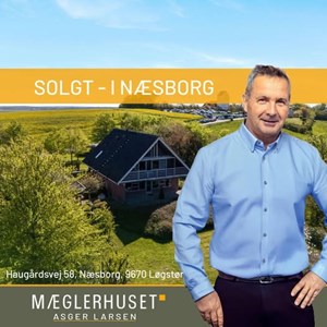 opslagsbillede