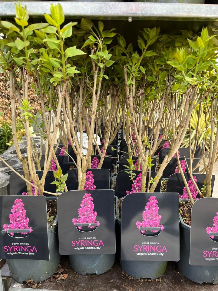 Nyt på opslagstavlen i Horsens