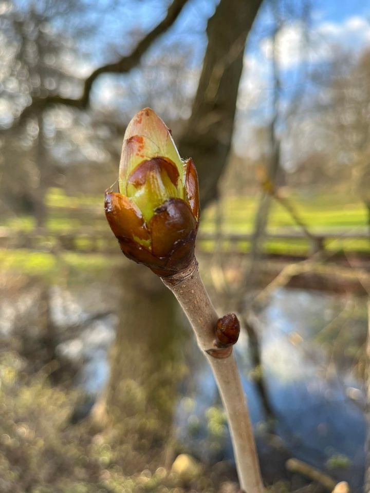 Hold dig ajour med dagens opdateringer fra Randers