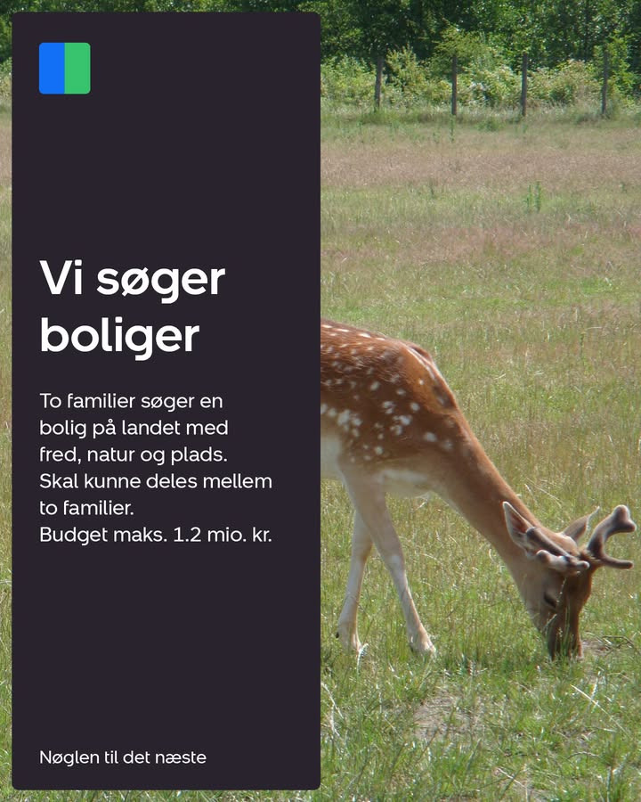 Nybolig Sæby A/S søger landejendom til to familier