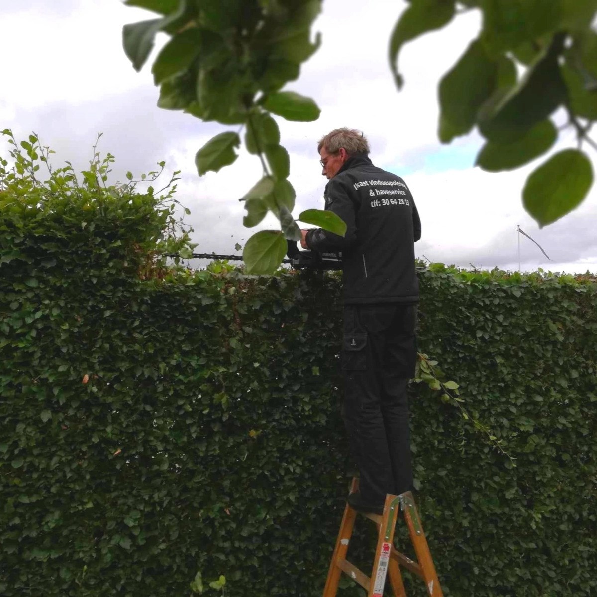 Ikast Hus & Haveservice  ApS