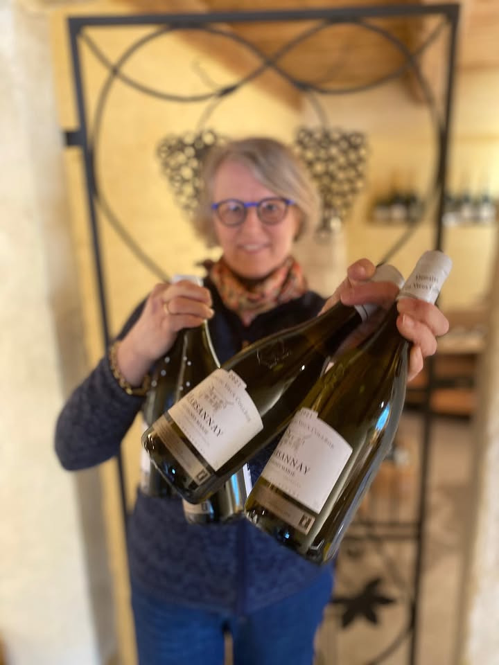 Eksklusivt tilbud fra Pedersborg Vin: Anmelderrost hvid Bourgogne til nedsat pris