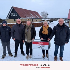 Opslagsbillede