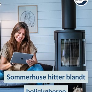 Opslagsbillede