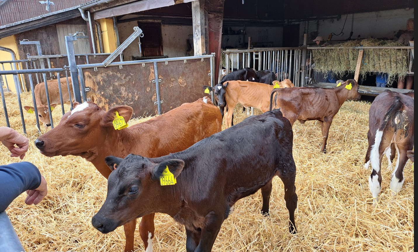 Oplev det moderne landbrug på Hofmansgave