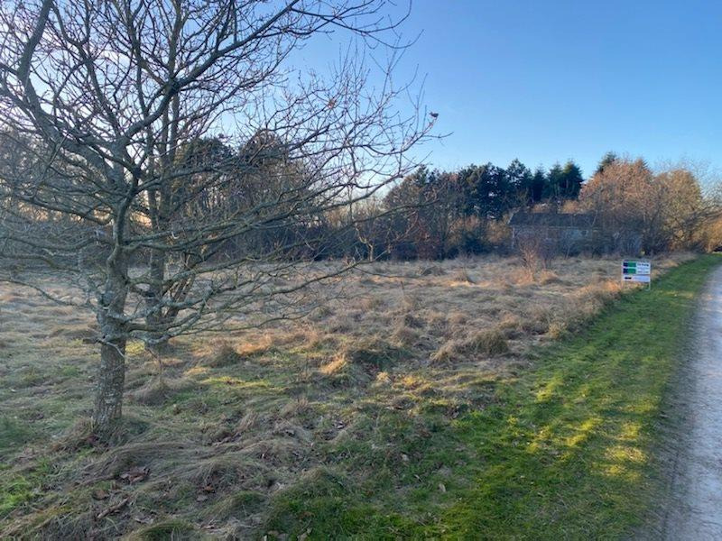 Se dagens updates fra Aars her