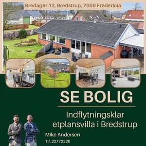 Opslagsbillede