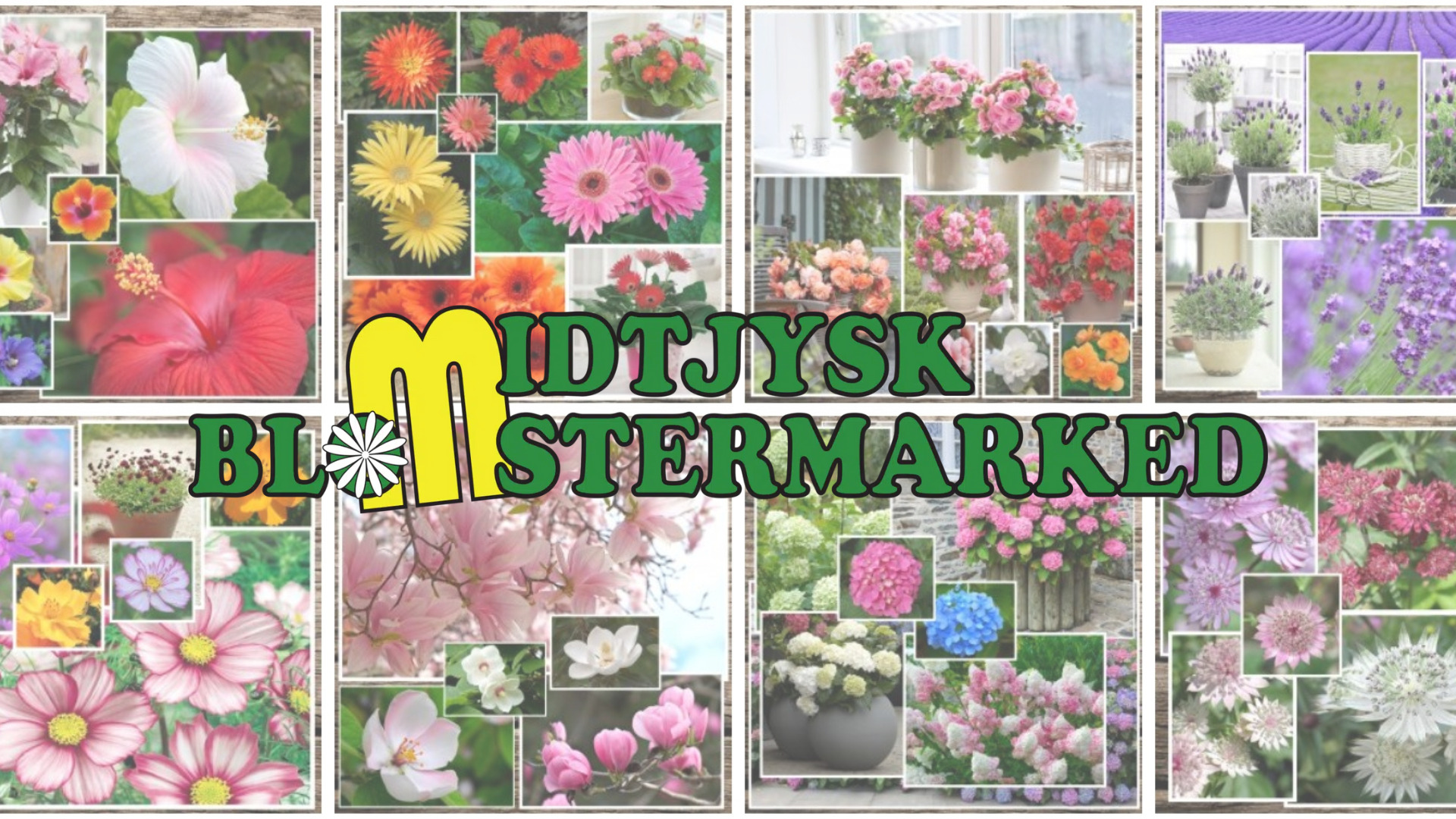 Alt til haven – Besøg Midtjysk Blomstermarked i Horsens året rundt