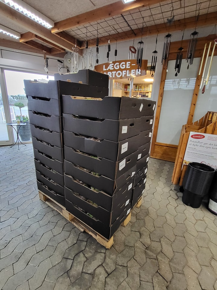 Hold dig ajour med dagens opdateringer fra Viborg