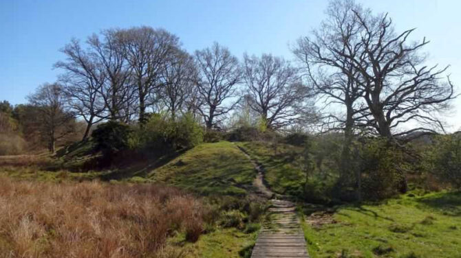 Oplev naturen omkring Bjerringbro med Dansk Vandrelaug