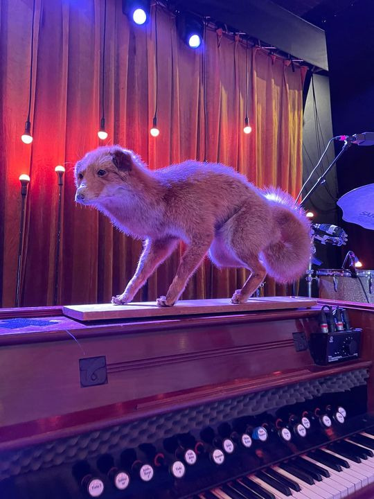 Se dagens updates fra Vejle her