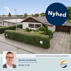 Opslagsbillede