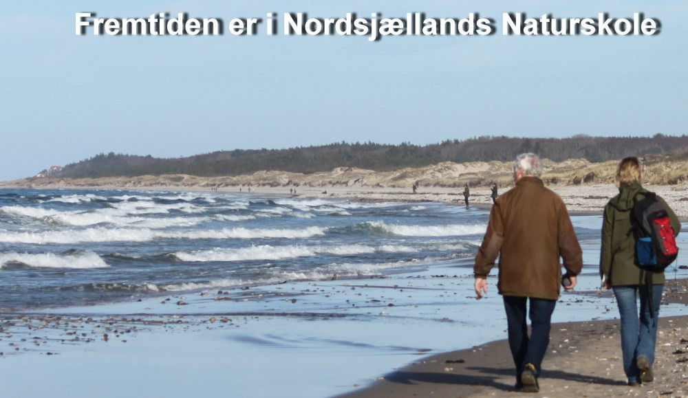 Bliv frivillig i naturen med Nordsjællands Naturskole