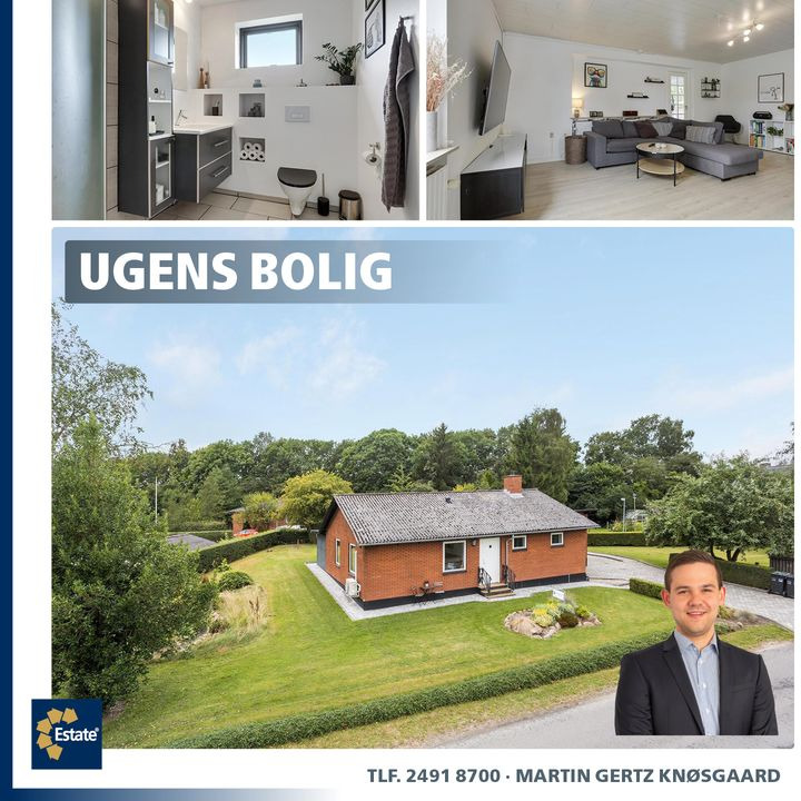 Opslagstavlen: Nyeste opdateringer fra Horsens