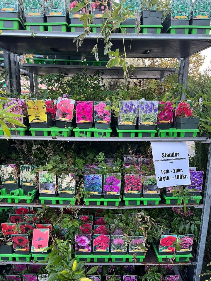 Nyt på opslagstavlen i Horsens