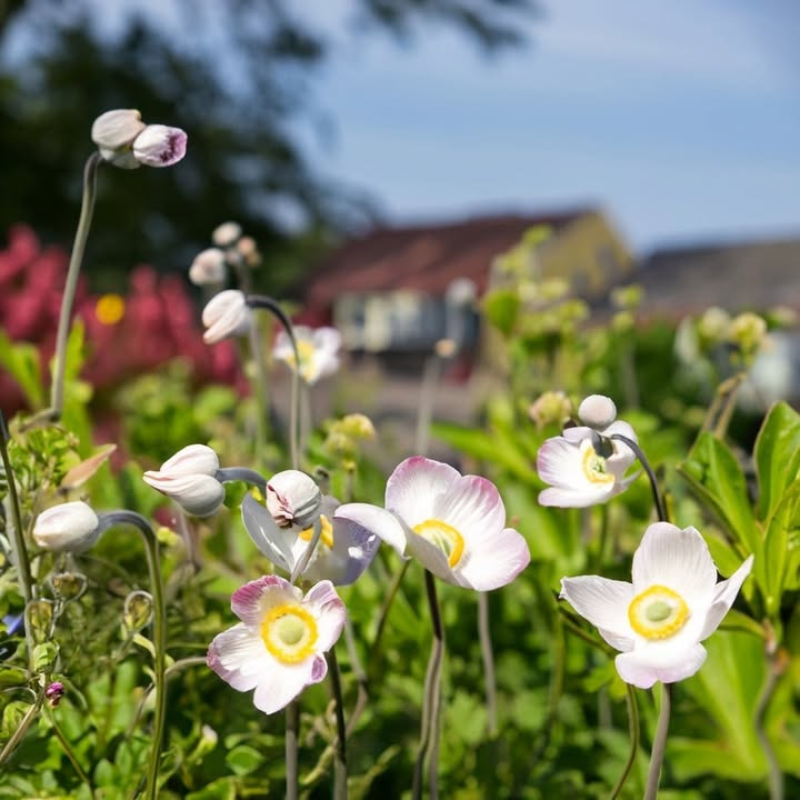 RandersBolig holder lukket på Kristi Himmelfartsdag og fredag