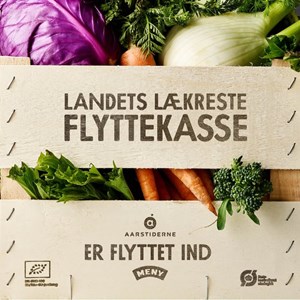 Opslagsbillede