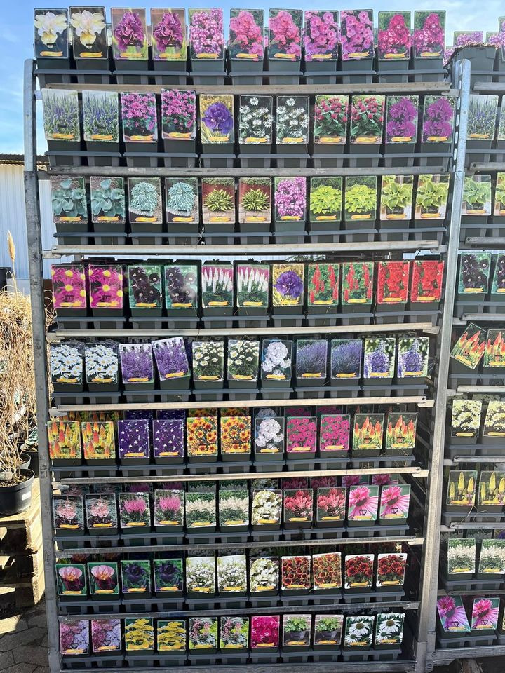 Hold trit med lokalområdet: Nyt fra Horsens