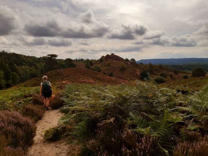 Hold dig ajour med dagens opdateringer fra Hammel