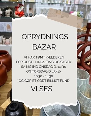 opslagsbillede