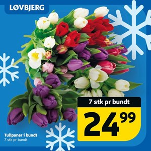Opslagsbillede