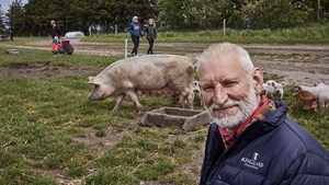 Sofari på Kraghøjgård Økologi: Kom og oplev det økologiske griseliv
