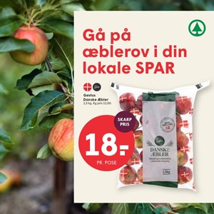 Opslagsbillede