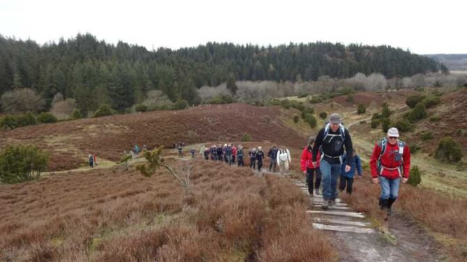 Oplev naturen til fods: Vandretur gennem Lindenborg Ådal og Rold Skov