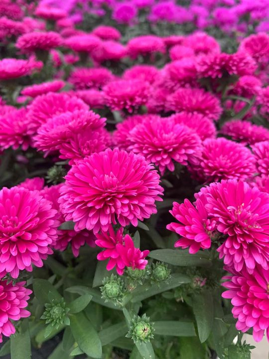 Hold trit med lokalområdet: Nyt fra Brønderslev