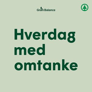 Opslagsbillede