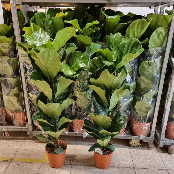 Det nyeste på Odders opslagstavle