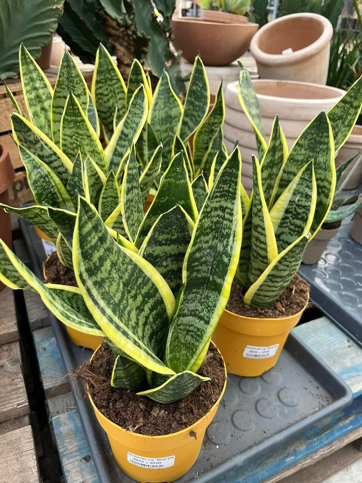 Hold dig ajour med dagens opdateringer fra Horsens