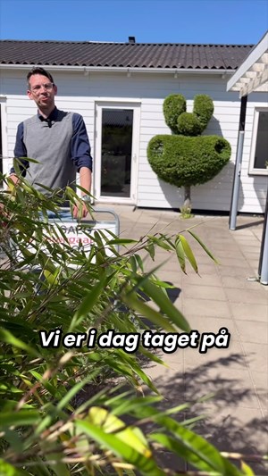 opslagsbillede