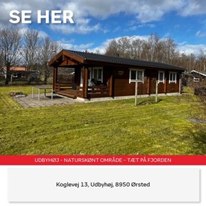Opslagsbillede