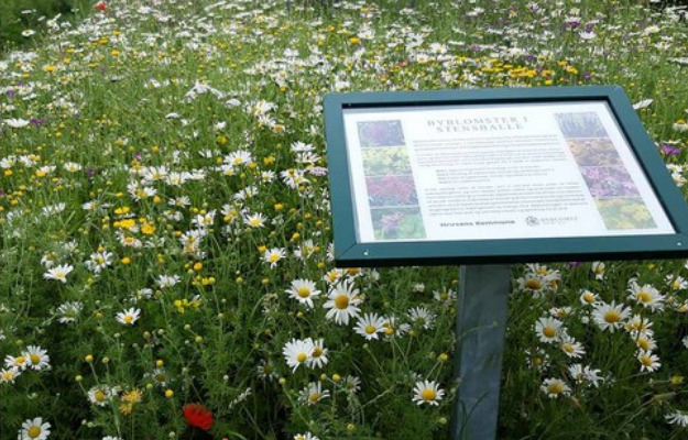 Horsens vil være Danmarks vildeste kommune