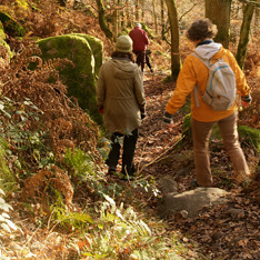 Find fællesskab og støtte med LivsAnker i Hinnerup