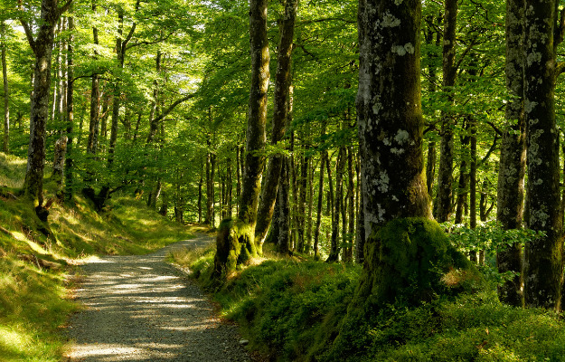 Kom med på klimatur til Ishøj Forsyning
