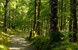 Kom med på klimatur til Ishøj Forsyning