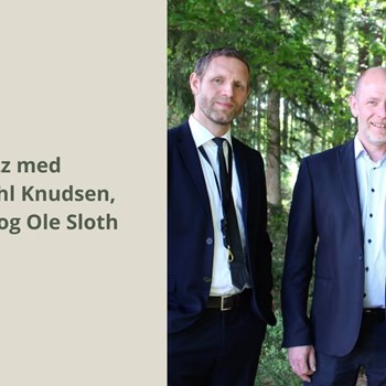 Opslagsbillede