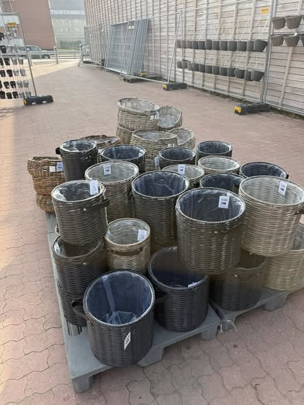 Rema 1000 Ringsted i Jyllandsgade inviterer til forårshavemarked 