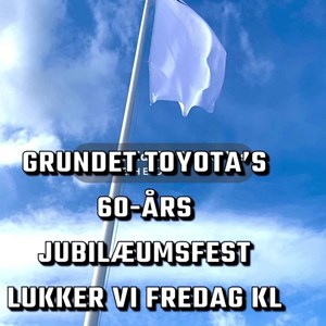 Opslagsbillede