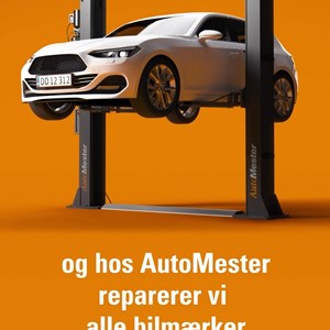Opslagsbillede