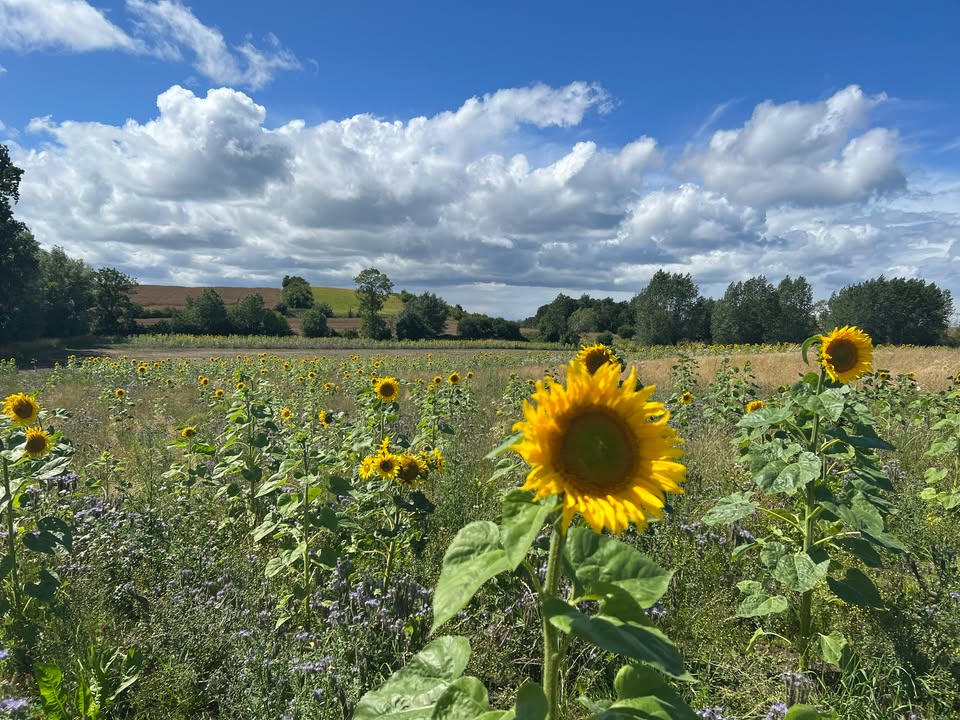 Opdag finansieringsmuligheder til din virksomhed ved gratis event i Kerteminde