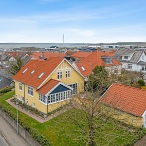 Opslagsbillede